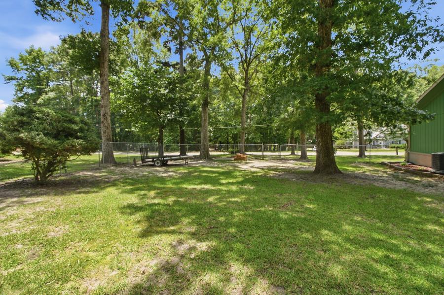 Backyard and trees
